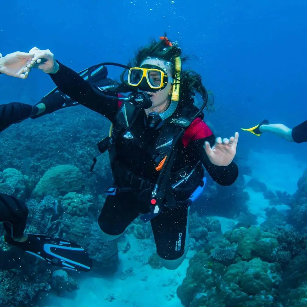 Cover for The Great Barrier Reef
