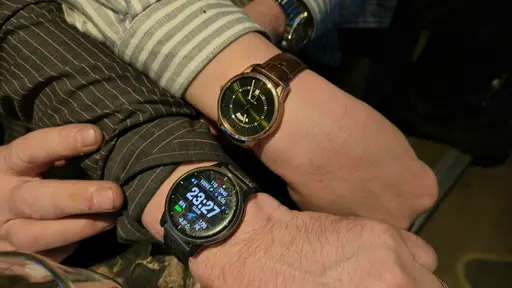 Cover image for Gorilla